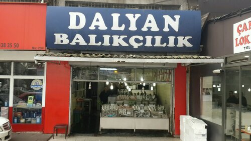 Dalyan Su Ürünleri ve Balıkçılık, balık çiflikleri ve deniz ürünleri