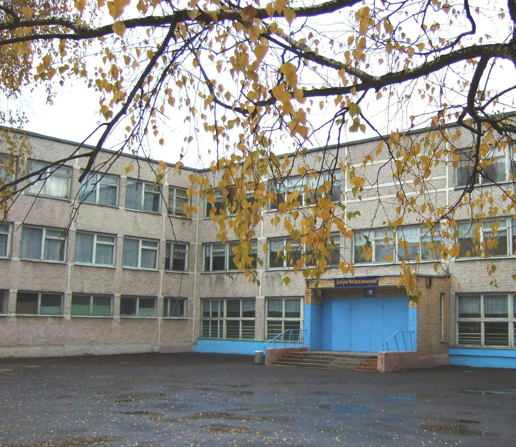 Gymnasium Mou Gimnaziya gorod Fryazino, Fryazino, photo