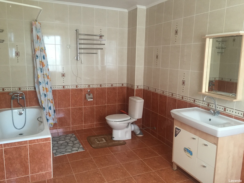 Фото Лаванда