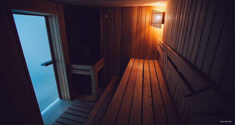 Фото Ласточка