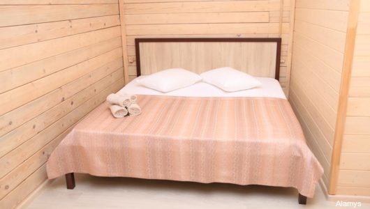 Фото Аламыс