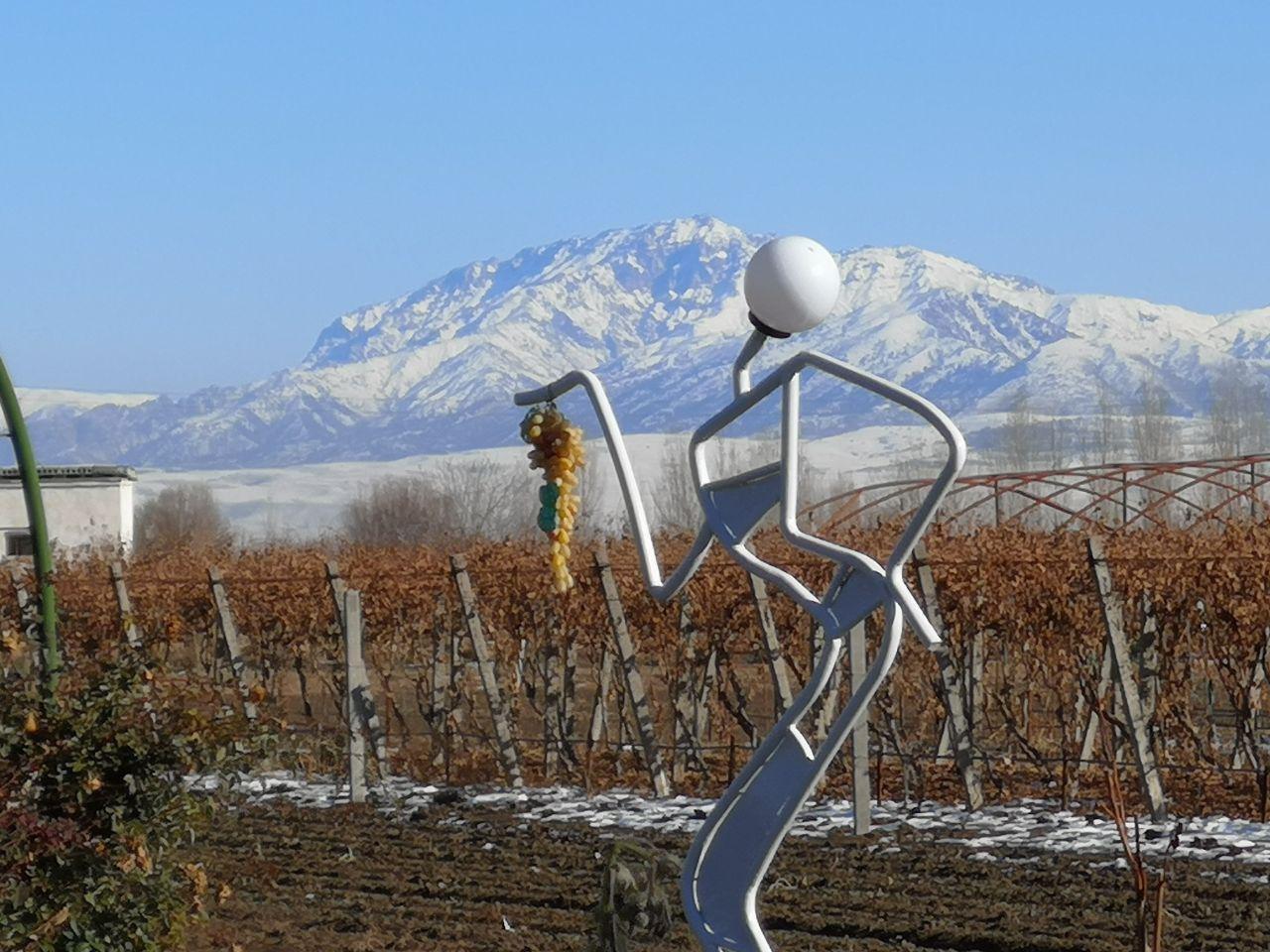 Фото Uzumfermer. uz