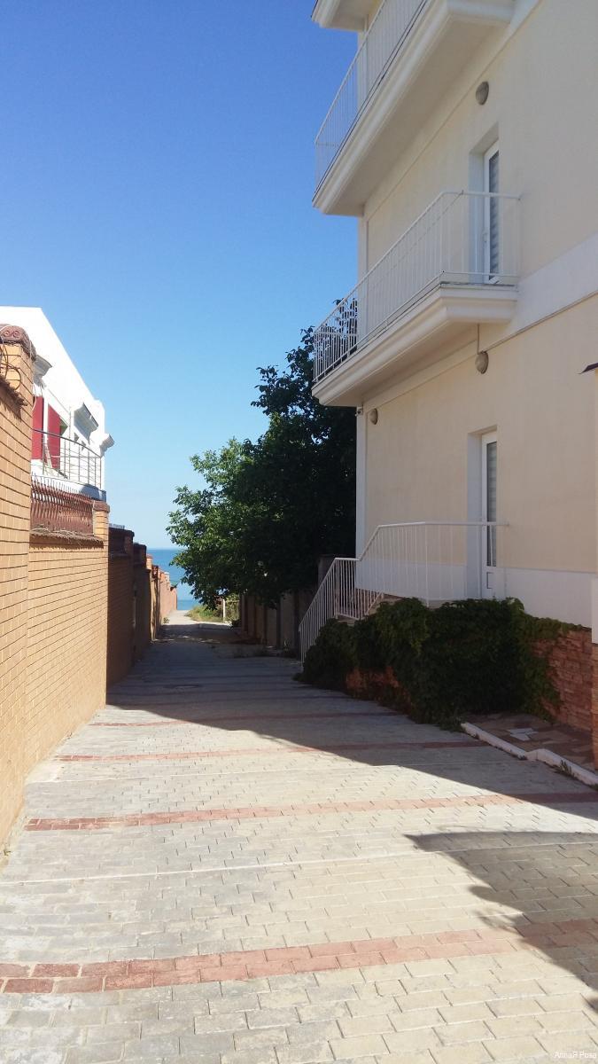 Фото АллаЯ Роза