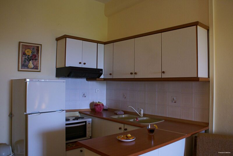 Фото Pansion Thanos