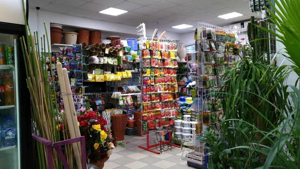 Магазин семян Мир растений, Москва, фото