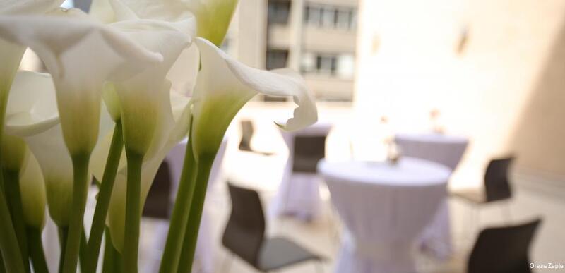 Фото Zepter Hotel