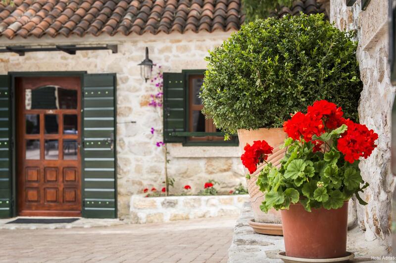 Фото Hotel Adriatic