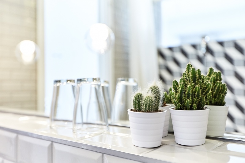 Фото The Magazine Hotel and Apartments