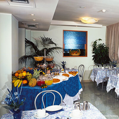 Фото Feldberg Hotel