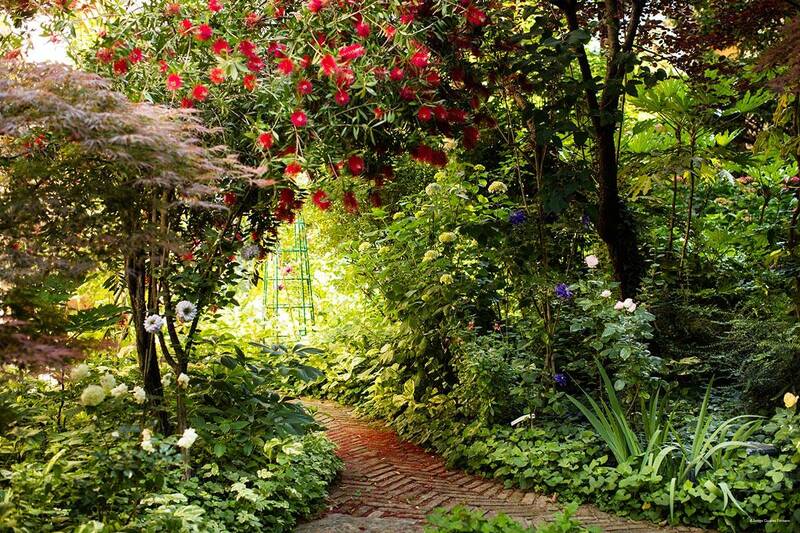 Фото Residenza d'Epoca Albergo Quattro Fontane