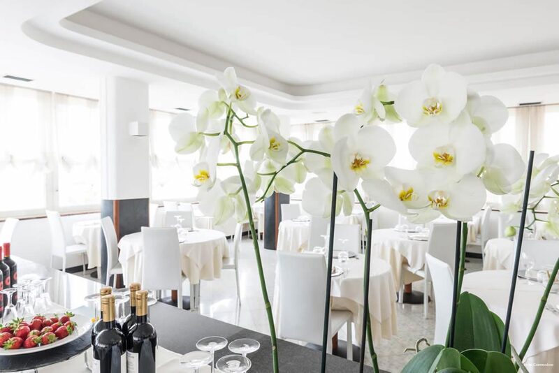 Фото Hotel Commodore