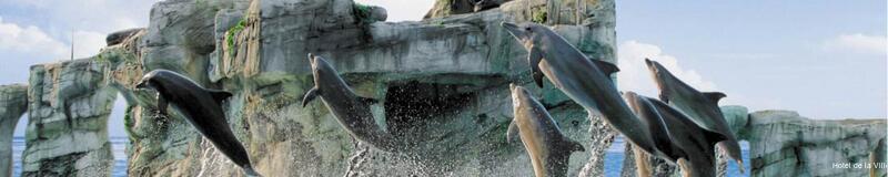 Фото Hotel De la Ville