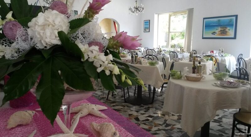 Фото Hotel Camelia