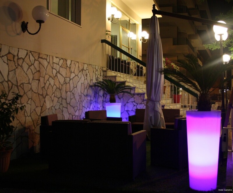 Фото Hotel Camelia