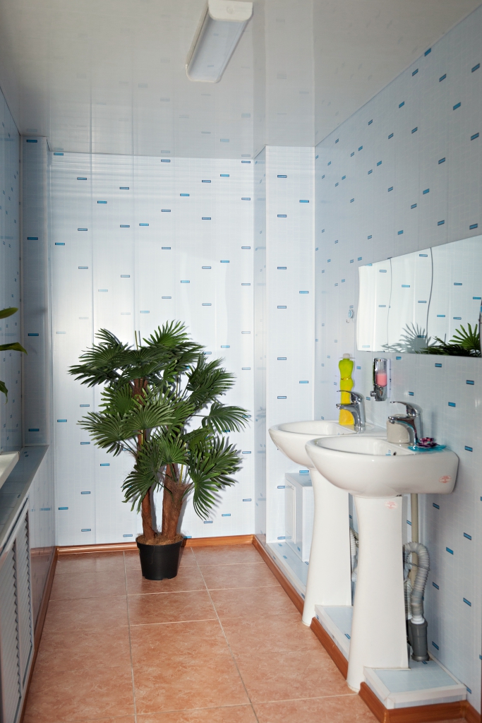 Фото Северянка