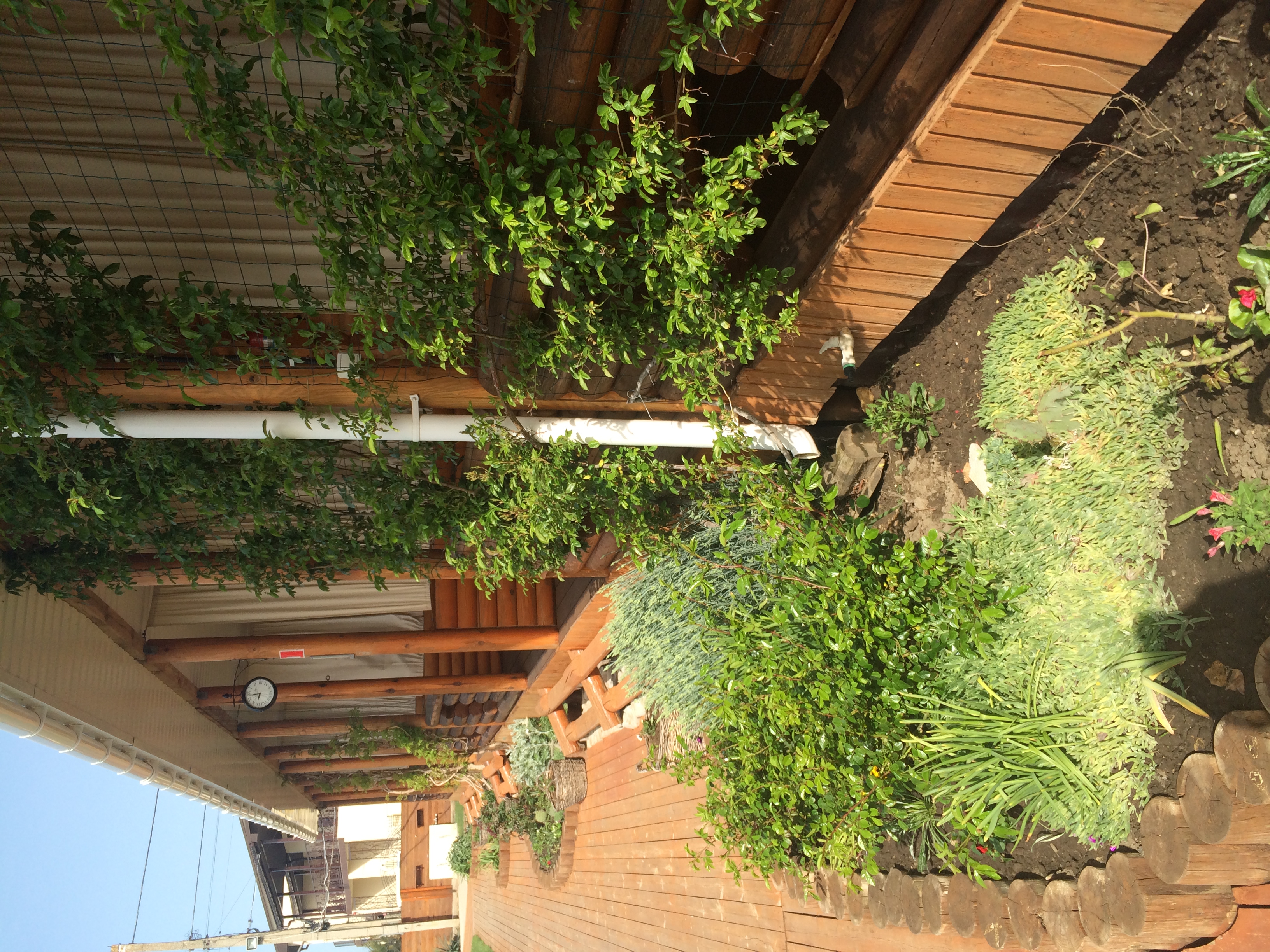 Фото Ранчо Беляус