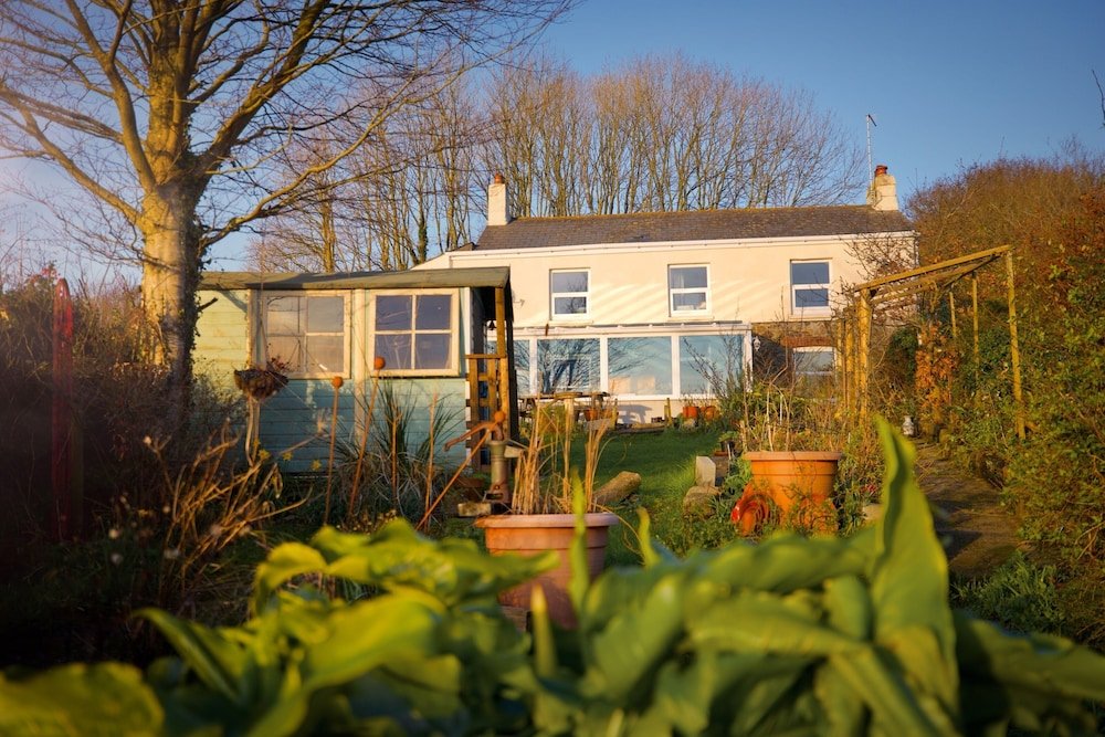 Фото Vine Cottage - B&b