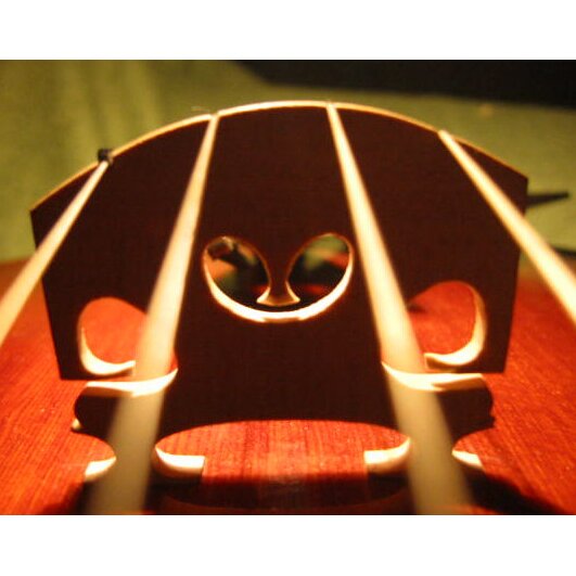 Manufacture and repair of musical instruments Geigenbauwerkstatt Christian Gehring, Hesse, photo