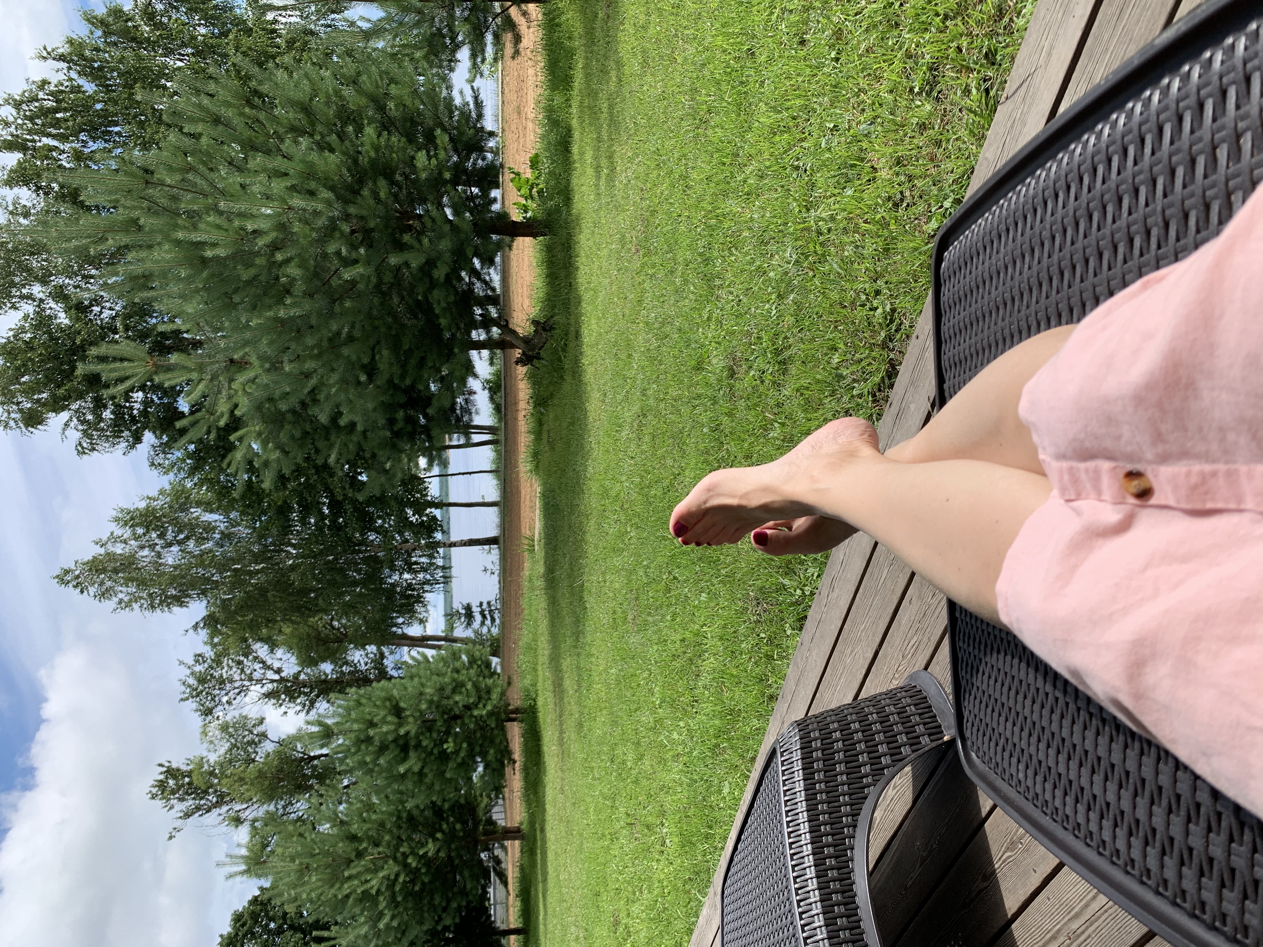 Фото Веточка