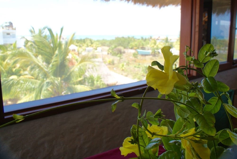 Фото Ensueño Holbox and Beach Club