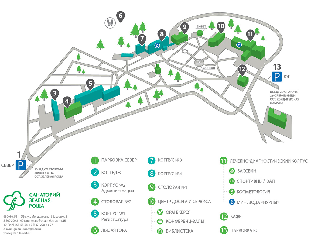 Фото Зеленая роща