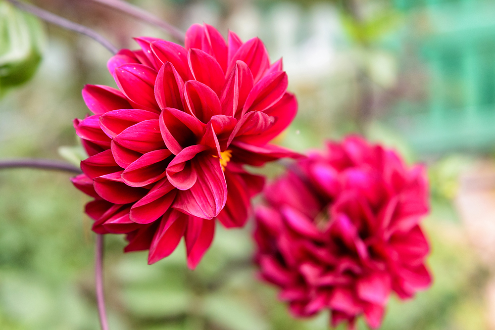 Фото Космонавт