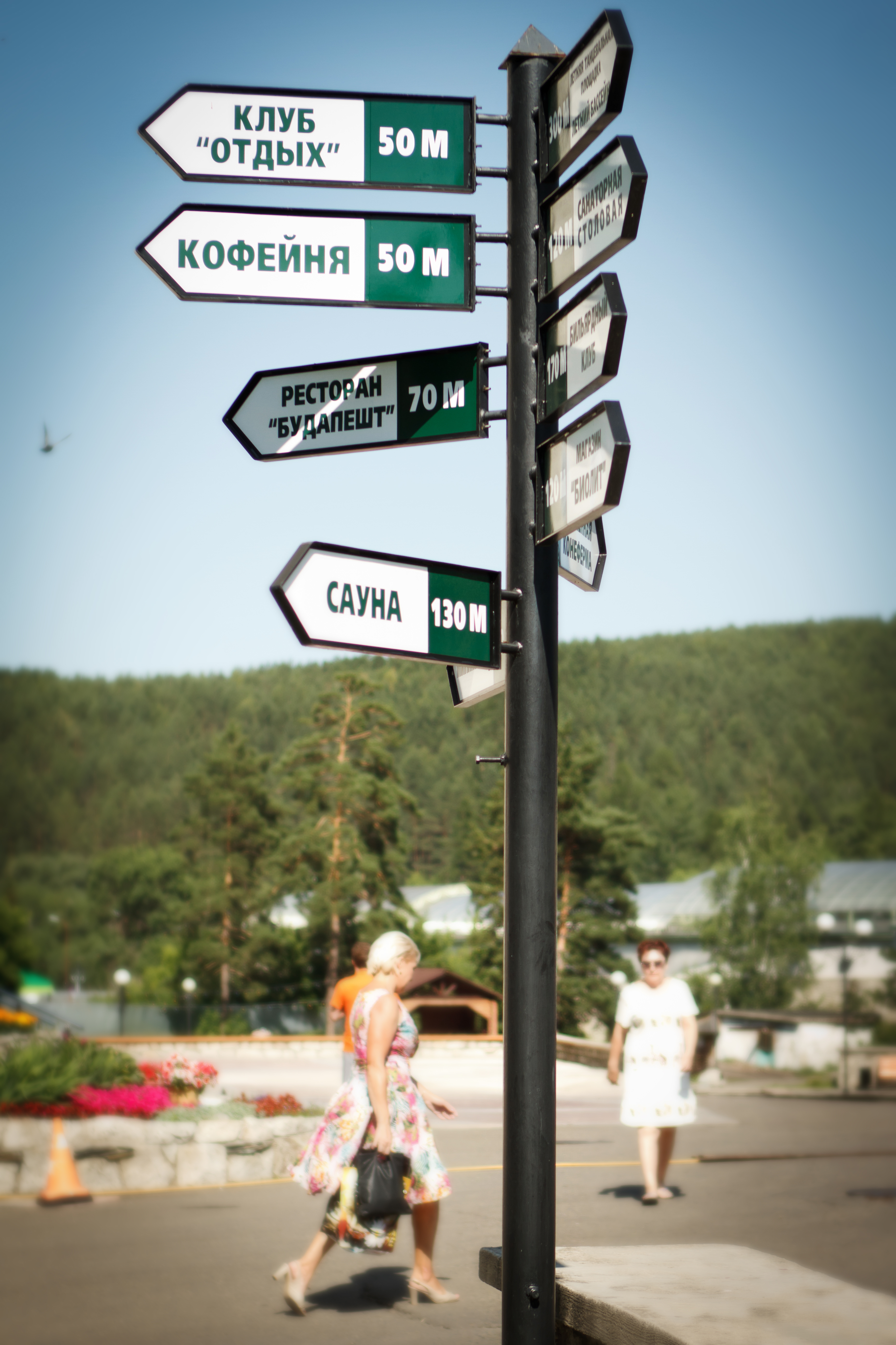 Фото Алтай West