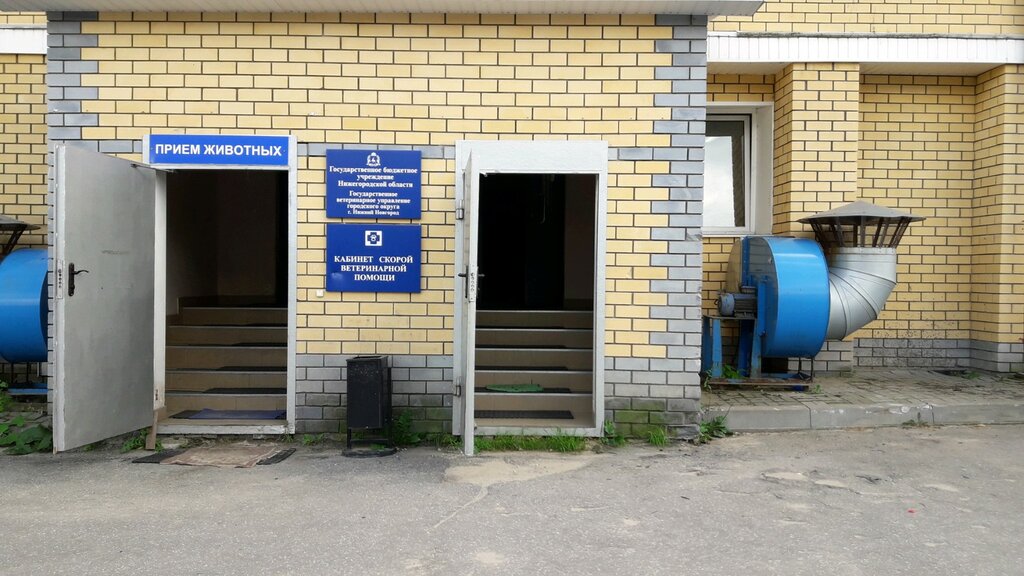 Administration Gosudarstvennoye veterinarnoye upravleniye, Nizhny Novgorod, photo
