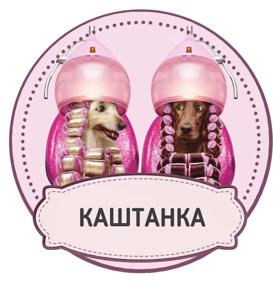 Каштанка