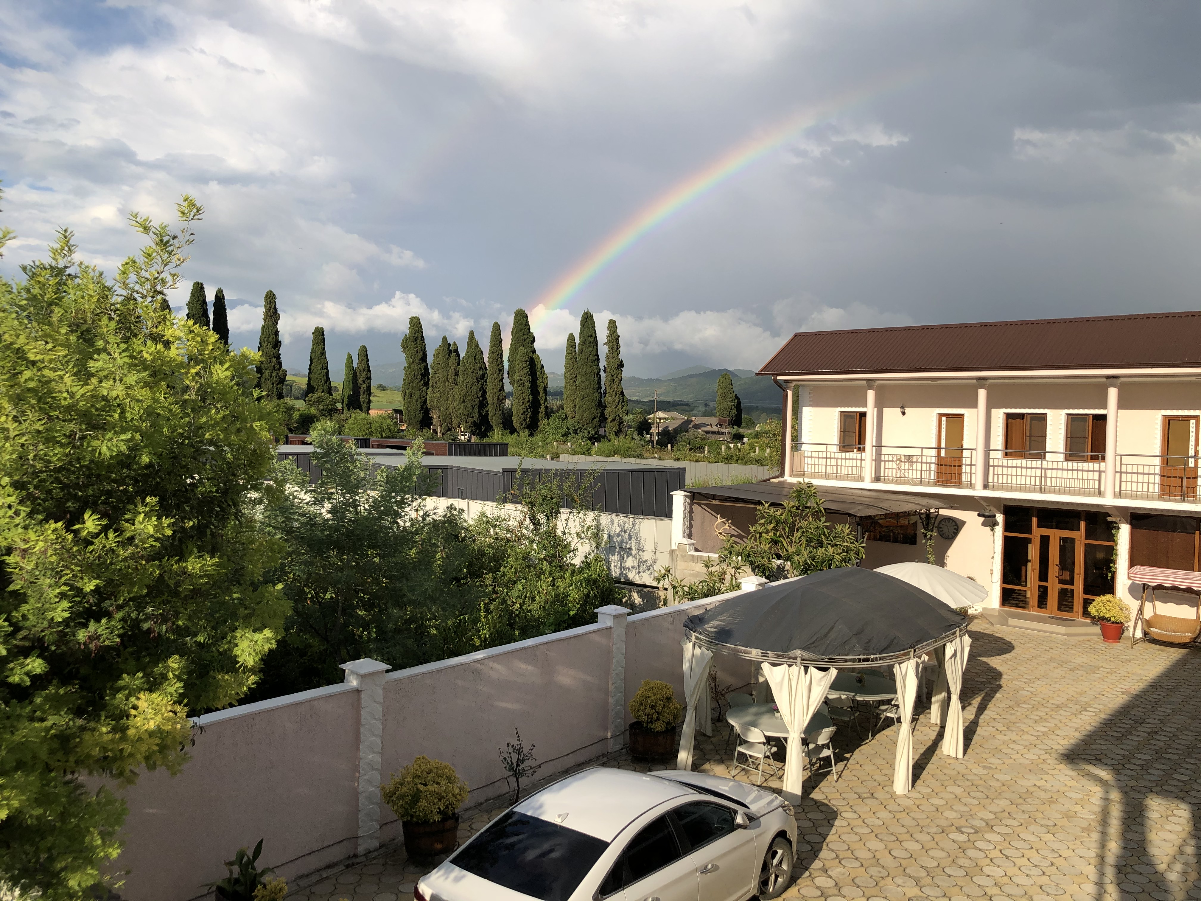 Фото Платан