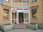 Zolotaya rybka (ulitsa Koshurnikova, 29/3), beer shop