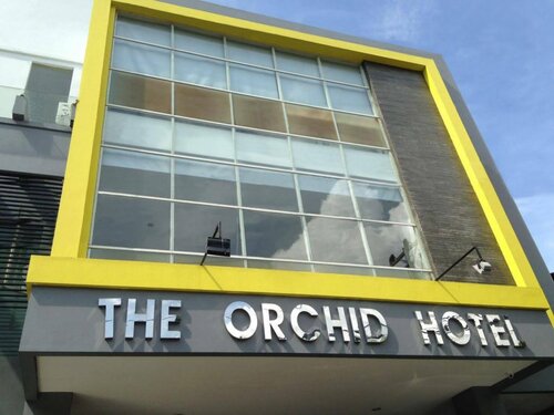 Гостиница The Orchid Hotel в Амбоне