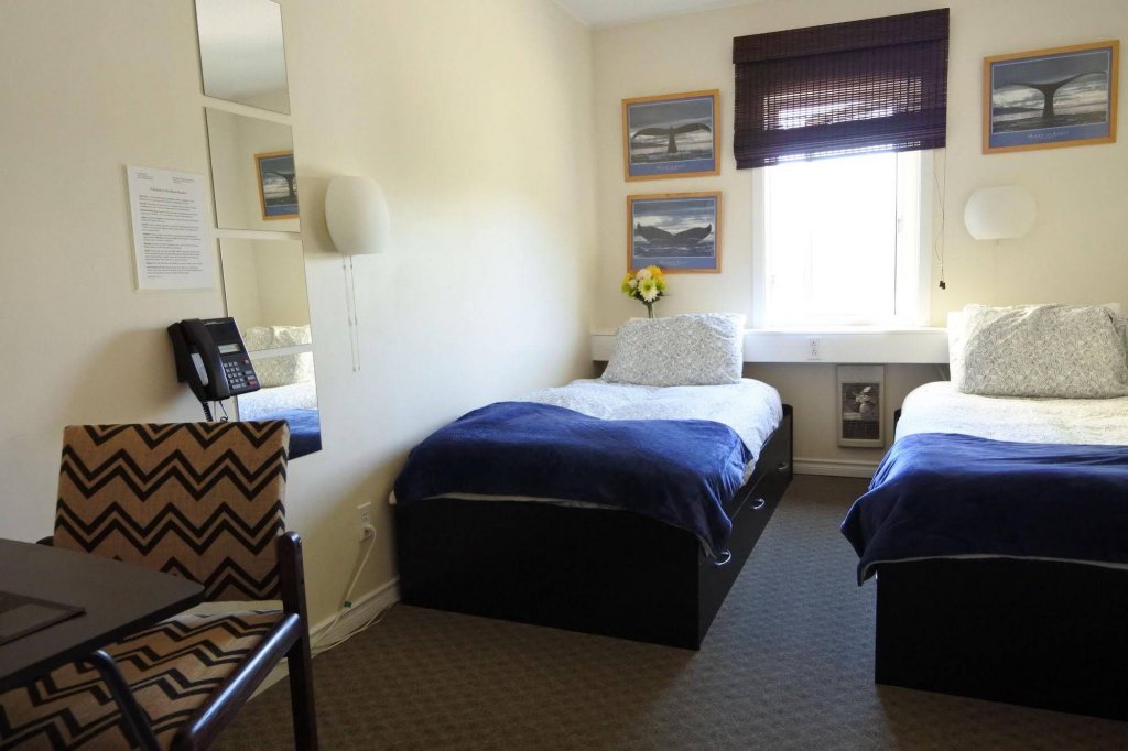 Фото Black Rooster Guesthouse