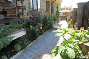 Фото Альпина