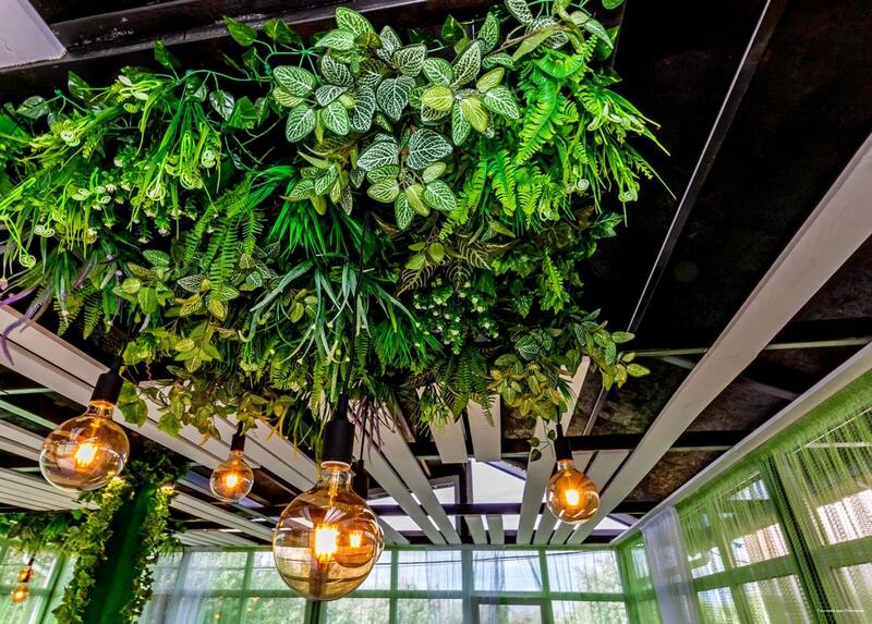 Фото Империал