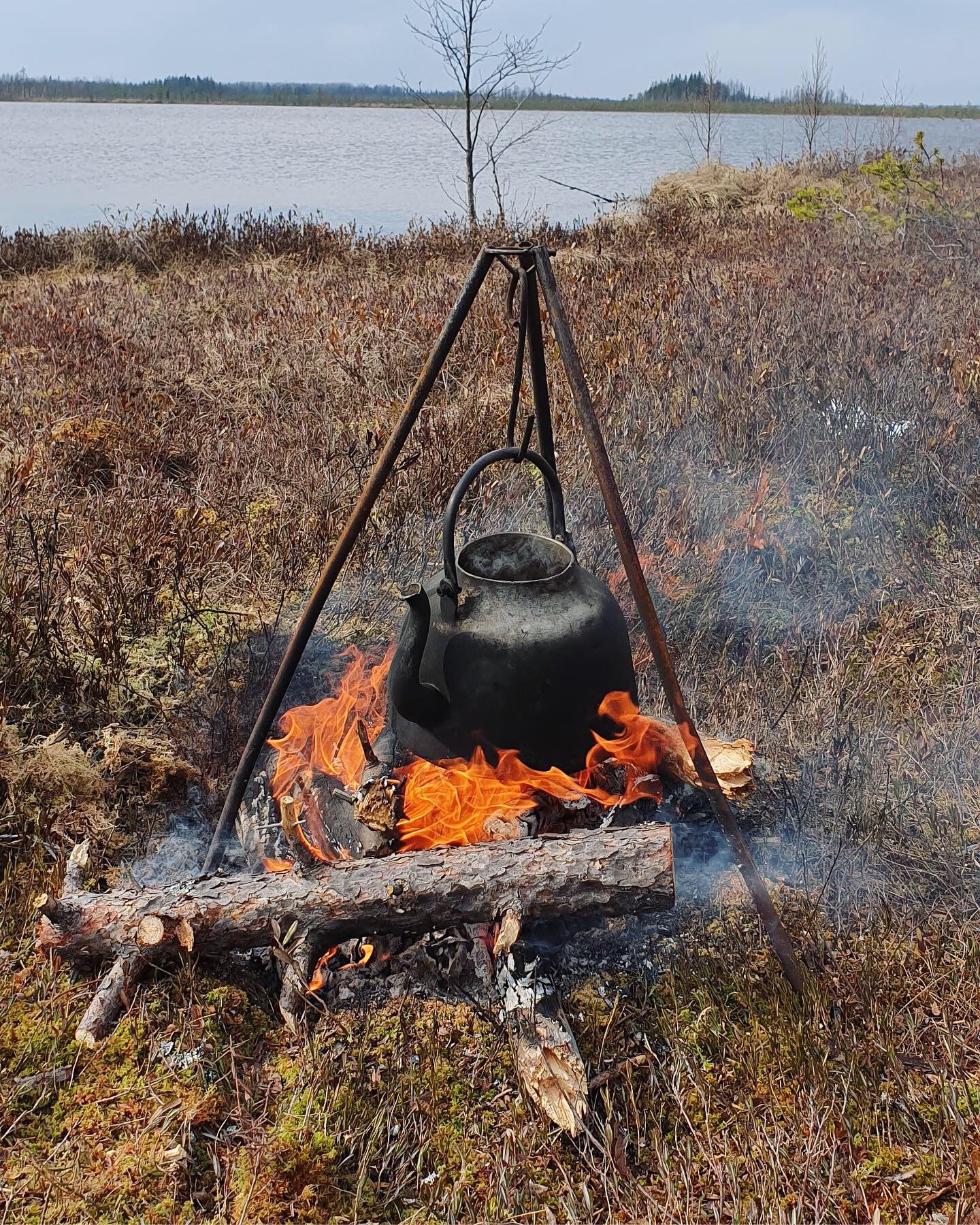 Фото Hunter Paradise