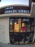 Salon Songul Gurlu (İstanbul, Küçükçekmece, 242 Sok., 13) ، مصففو الشعر