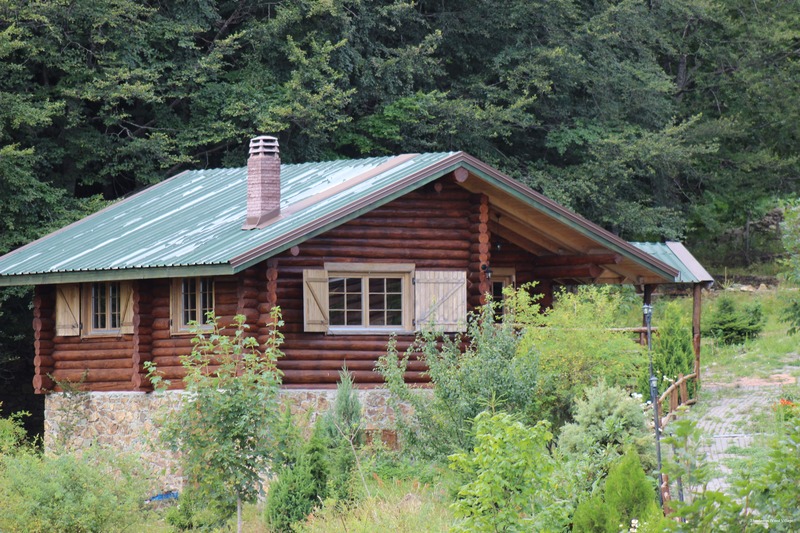 Фото Sfendamos Wood Village