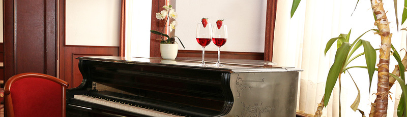 Фото Hotel Krona