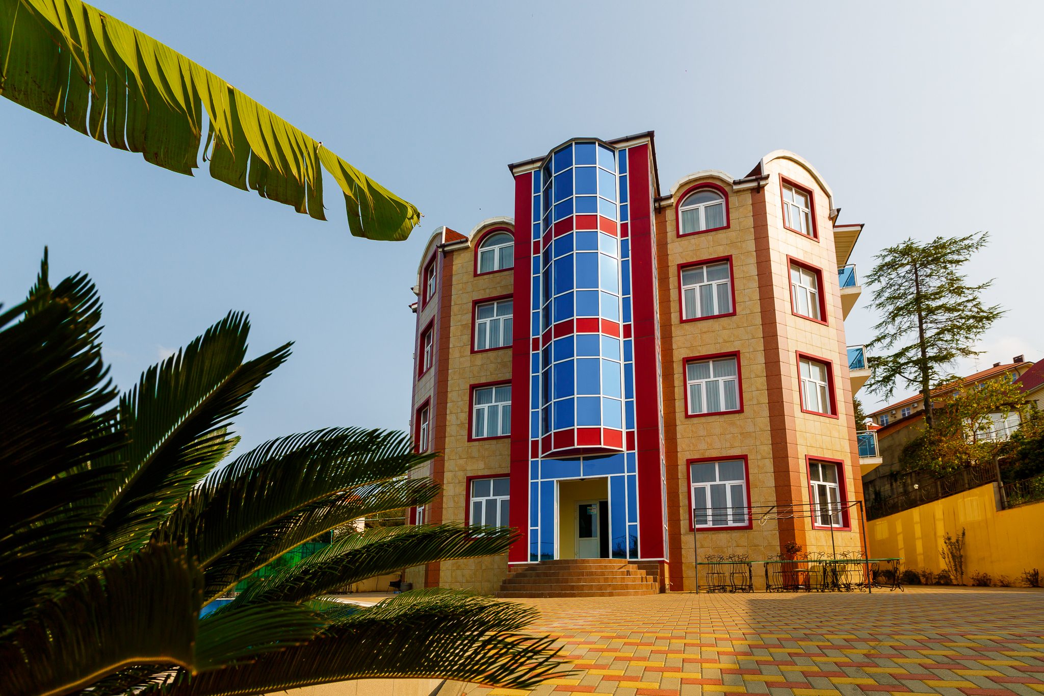 Фото Эдельвейс