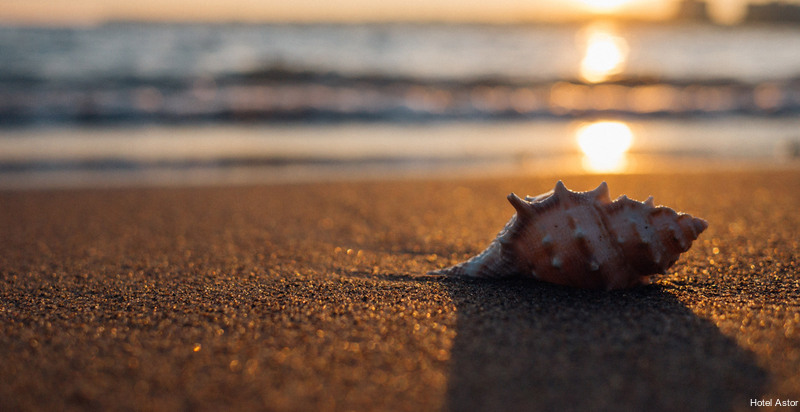 Фото Hotel Astor