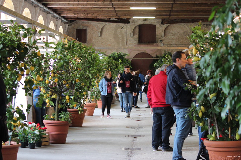 Фото Castello di Roncade