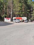 Gasoline station (Moscow Region, Orekhovo-Zuyevskiy Urban District, Town of Kurovskoe), lpg filling station