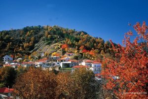 Фото Sunrise Village Beach