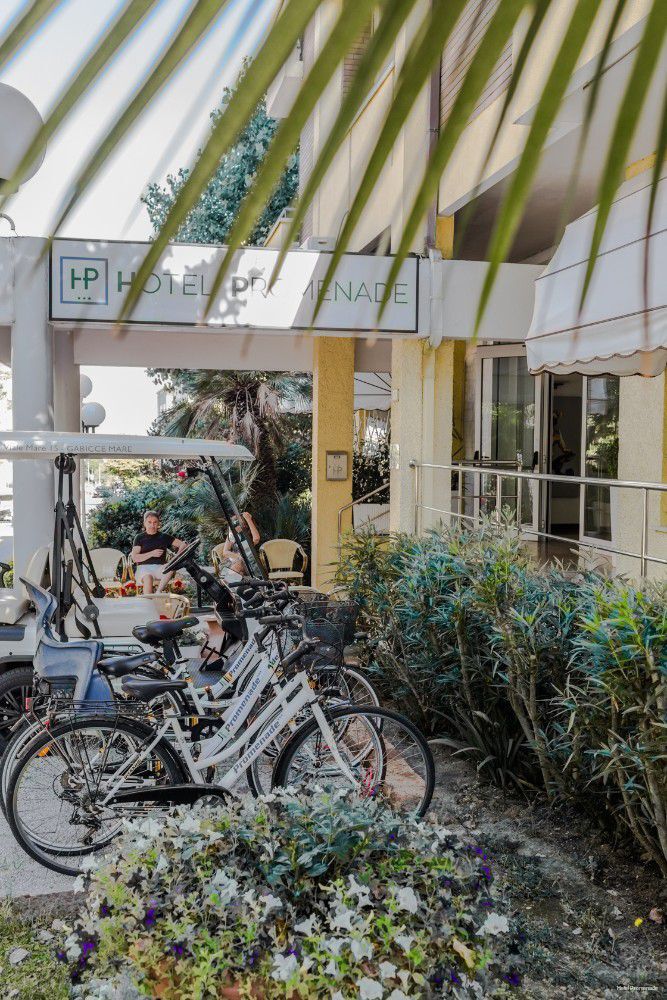 Фото Hotel Promenade