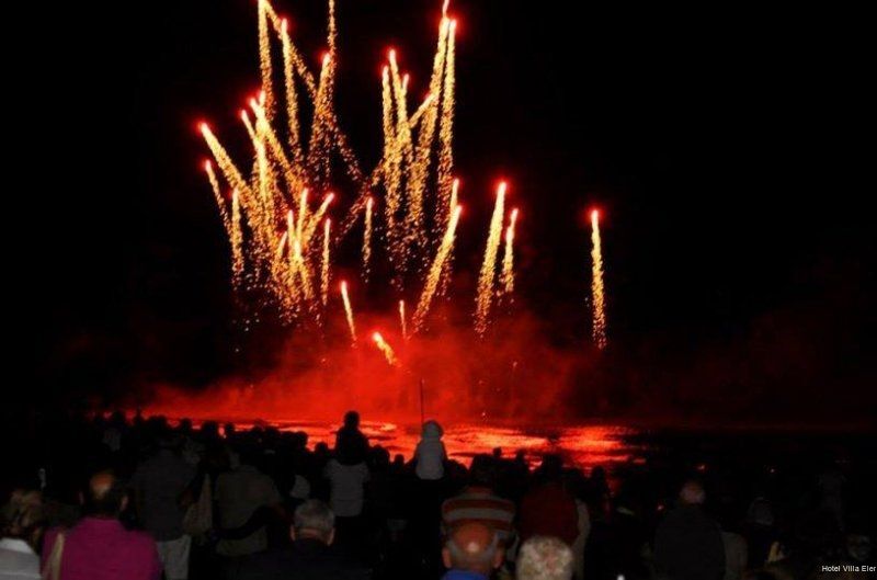 Фото Hotel Villa Elena