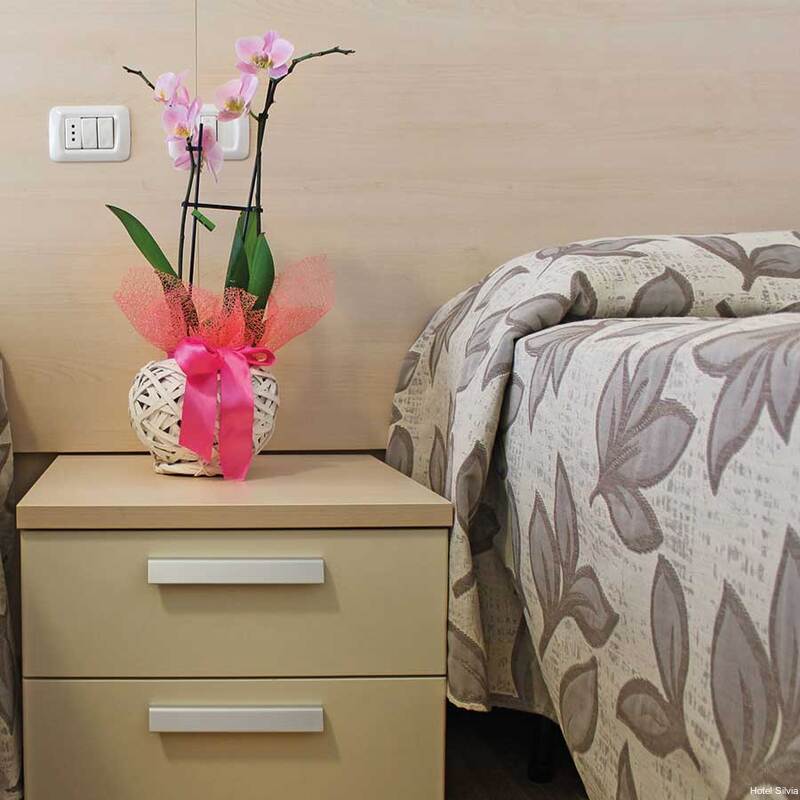 Фото Hotel Silvia Misano Adriatico