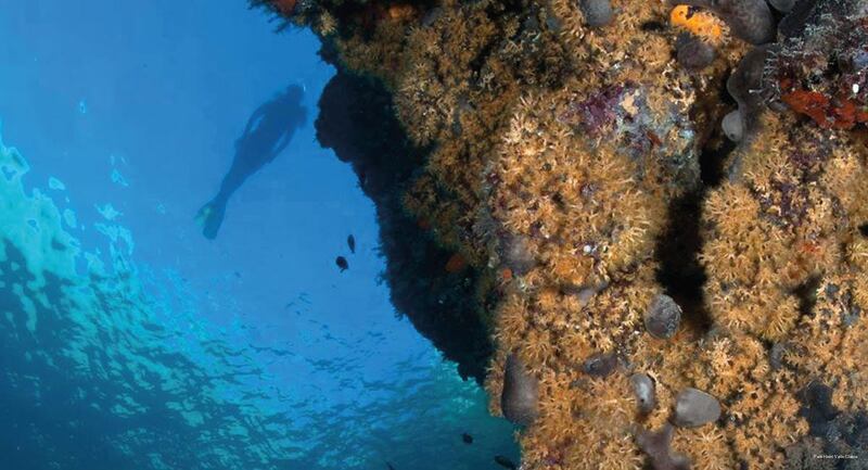 Фото Park Hotel Valle Clavia