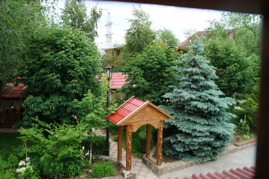 Фото Надежда