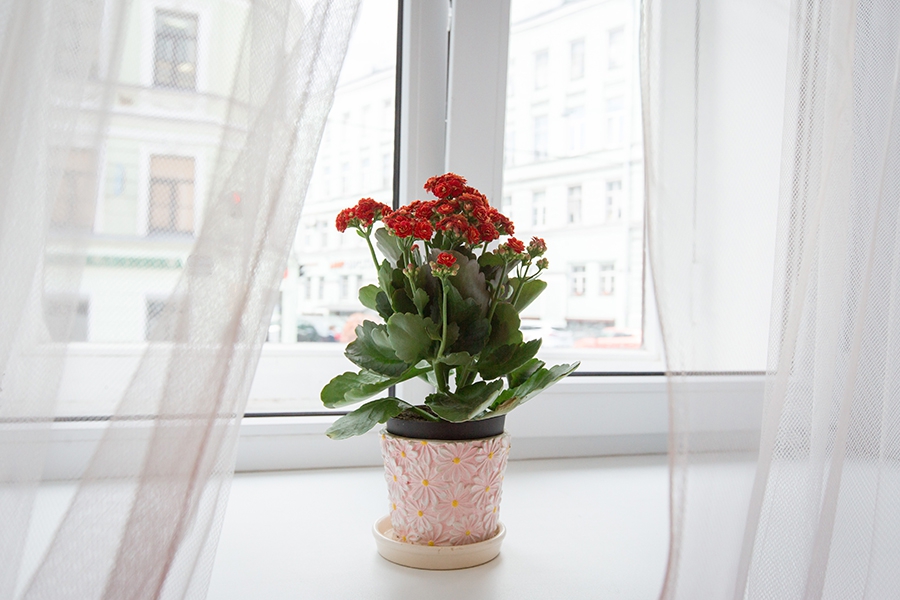 Фото Республика